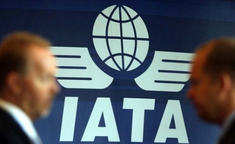    خبر بازگشت یاتا به ایران با دعوت شهر فرودگاهی امام